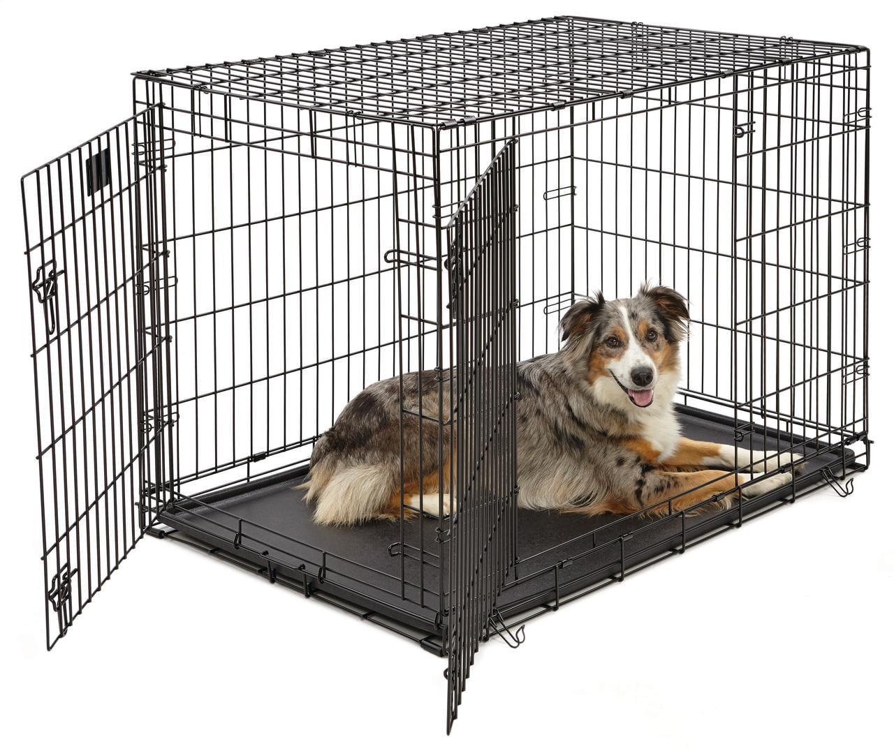 Photo 1 of MidWest LifeStages Double Door Collapsible Wire Dog Crate, 42 inch
