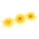 thumbnail image 5 of Pinza de Cabellero BLESIY Flores de Playa Accesorios Cabello Boho Amarillo, 5 of 7