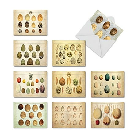 M9691TYG EGG-CELLENCE' 10 Assorted Thank You Notecards with Envelopes by The Best Card