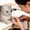 C 14x14cm, variant on Cat Muzzle for Grooming Breathable Cat Muzzle Adjustable Hood Anti Bite Muzzles for Pet Bathing,Taking Injectionsï¼S