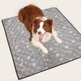 thumbnail image 5 of Dog Washable Pee Pads Bone Pattern Reusable Water Absorption Prevent Slipping Waterproof Breathable Pet Training Pads 60 X 45cm/39.4 X 17.7in, 5 of 5
