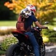 thumbnail image 6 of Knavigate | Advanced Dog Carrier with Internal Frame  Hip Belt, 6 of 10