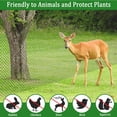 thumbnail image 4 of 8 X 100 Ft Garden Netting, 5/8in Mesh Heavy Duty Bird Netting for Vegetable, Fruit Trees, Blueberry Bush Protection, Reusable Poultry Netting Against Birds, Deer, Rabbit and Cat, Chicken Coop Net, 4 of 7