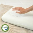 thumbnail image 2 of Imaginarium Memory Foam Fun Pillow with Cool-to-the-Touch Cover, Standard/Queen, 2-Pack, Holly Jolly Blue, 2 of 5