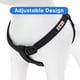 thumbnail image 5 of Arnes de Entrenamiento Pawtitas Chaleco Pechera para Perros y Cachorros Talla Pequeño Negro, 5 of 5