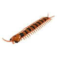 thumbnail image 3 of Un Jouet Centipede Télécommandé avec Mouvement Réaliste et Yeux à DEL pour Farces d'Enfants 12X8.3X2 Inches Insecte Rampant Contrôlé par Infrarouge, 3 of 9