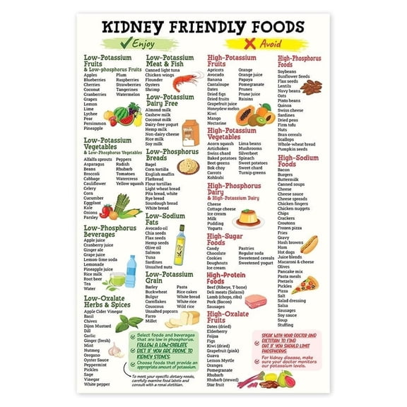 Kidney Friendly Food List Poster Kidney Disease, Kidney Diet List for Low Potassium Print, Nutrition, Kidney Food Guide Poster