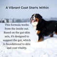 thumbnail image 2 of Dog Supplement PetCultures Skin & Coat Tribiotic Powder, 2 of 7