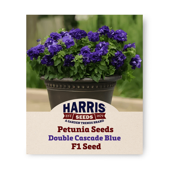 Harris Seeds Petunia Double Cascade Blue Seed F1 Annual Flower - 250 Seeds