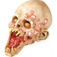 thumbnail image 1 of Schell Shocked, 1 of 1