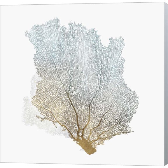 Delicate Coral I by Isabelle Z, Canvas Wall Art, 12W x 12H