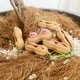 thumbnail image 1 of piezas/380 juego de moldes para hornear, animales del bosque, molde para galletas de dibujos animados, tipo de presión, herramienta para hornear galletas para el hogar, 1 of 7