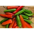 thumbnail image 2 of ESPOMA PLANT FOOD GARDENTONE18# (Pack of 1), 2 of 6