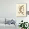 thumbnail image 3 of Trademark Fine Art 'Sepia Ferns IV' Canvas Art by Vision Studio, 3 of 4