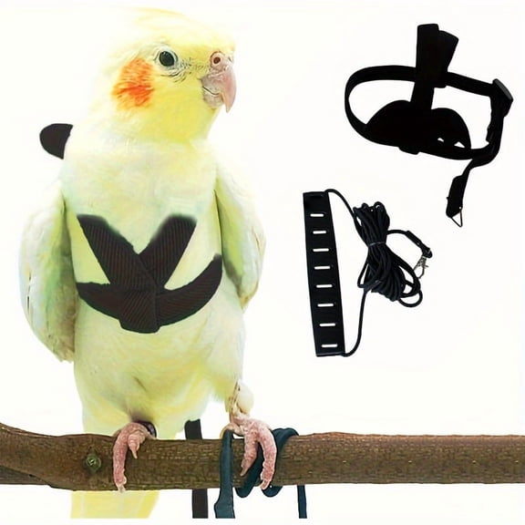Adjustable Parrot Harness Leash Set, 2 Pack Small Bird Flight Harness with Wings Design, Escape-Proof Soft Strap for Conure Cockatiel Lovebird (Black & Yellow)
