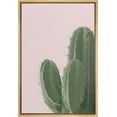 thumbnail image 4 of PixonSign Framed Canvas Print Wall Art Stonecrop Spiked Succulent Botanical Flower Photography Modern Art Glam Closeup Colorful Multicolor Ultra for Living Room, Bedroom, Office - 24"x36" Natural, 4 of 5