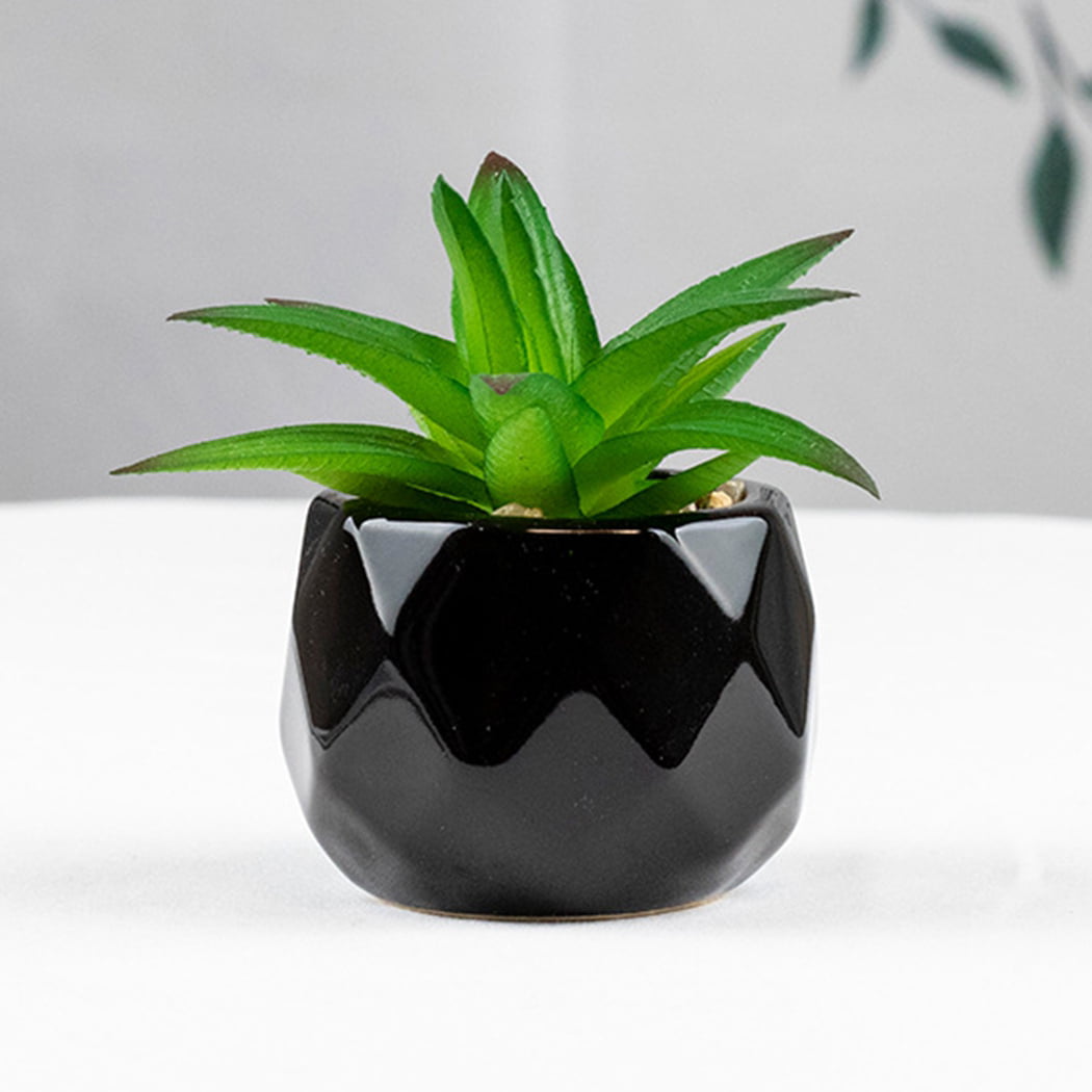 Details about   2 Mini Artificial Succulent Plants Potted Faux Greenery for Table House Balcony 