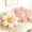 Pink, variant on HonorHut 2 Pack Flower Plush Pillow 17.7" Cute Smile Face Padded Mat Sunflower Shaped Seat Cushion Home Decor Bedroom Living Room Chair White and Pink