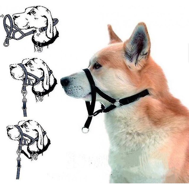 Halti Head Collar Dog Training Obedience Stop Pulling On Lead No Pull Solutionxl