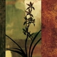 thumbnail image 3 of Donovan, Chris 20x20 Black Modern Framed Museum Art Print Titled - Mesmerized I, 3 of 5