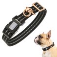 thumbnail image 1 of Universal Pet Collar Nylon Reflective Adjustable Buckle Collars Necklace Supply Pets Neck Accessory for Courtyard Park Walking Black, 1 of 9