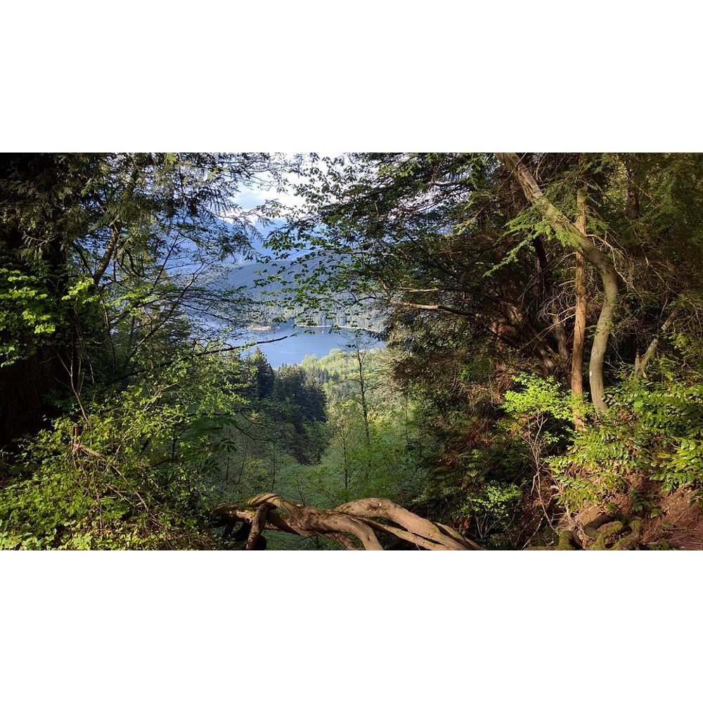 British Columbia Burnaby Mountain Burnaby20 Inch By 30 Inch Laminated