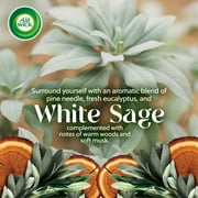 Air Wick Vibrant Plug in Scented Oil Refill, 2ct, White Sage & Mahogany, Air Freshener, Essential Oils