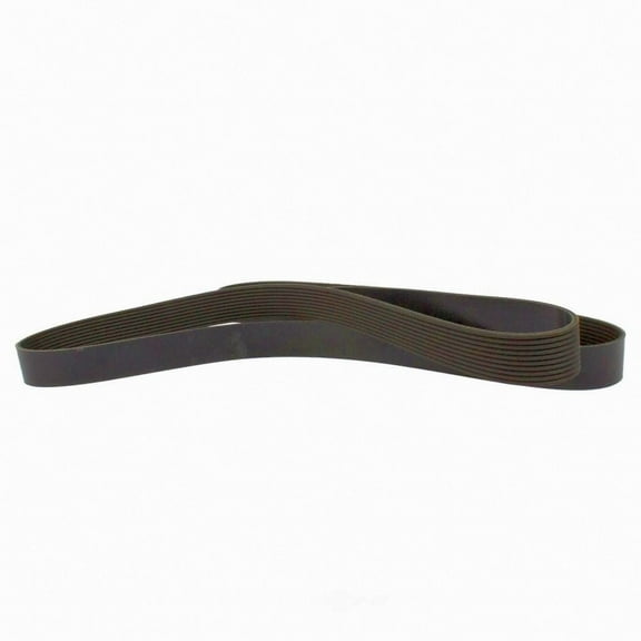 Motorcraft JK10-843 Serpentine Belt
