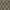 Brown, variant on Achim Bombay Indoor Polyester Light Filtering Geometric Curtain Panel, Black, 52-in W x 63-in L