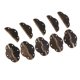 thumbnail image 5 of 10 Juegos Caja de Joyería de Bronce , nalgas Pequeña con 40 Tornillos DIY - Bronce , 56x31mm Gloria Mini Bisagras de Bisagra, 5 of 9