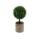 thumbnail image 2 of Plantas artificiales de simulación para el hogar, oficina, vestíbulo de hotel, decoración de plantas verdes, decoración del hogar, plantas artificiales, plantas verdes artificiales, hogar,, 2 of 8