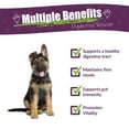 thumbnail image 5 of Amber NaturalZ Paxaid Digestive Rescue for Dogs & Puppies | For Occasional Digestive Upset 1oz, 5 of 6