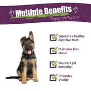 Amber NaturalZ Paxaid Digestive Rescue for Dogs & Puppies | For Occasional Digestive Upset 1oz