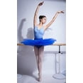 thumbnail image 3 of WENDYWU Women Professional Swan Ballet Tutu Skirt Hard Organdy Platter Performance Leotard Skirt, 3 of 4