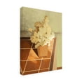 thumbnail image 4 of Trademark Fine Art NKTN Still Life 01 Canvas Wall Art, 4 of 4