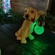 thumbnail image 5 of Escultura de perro con lámpara , decoración LED, animal, lámpara de césped impermeable de resina para jardín, Patio, inauguración de cálido CUTICAT Luz de estatuilla al aire libre, 5 of 8