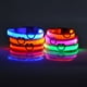 thumbnail image 4 of Glow-In-The-Dark Pet Collar For Small Medium Dogs, LED Dog Collar For Night Walking, 4 of 5