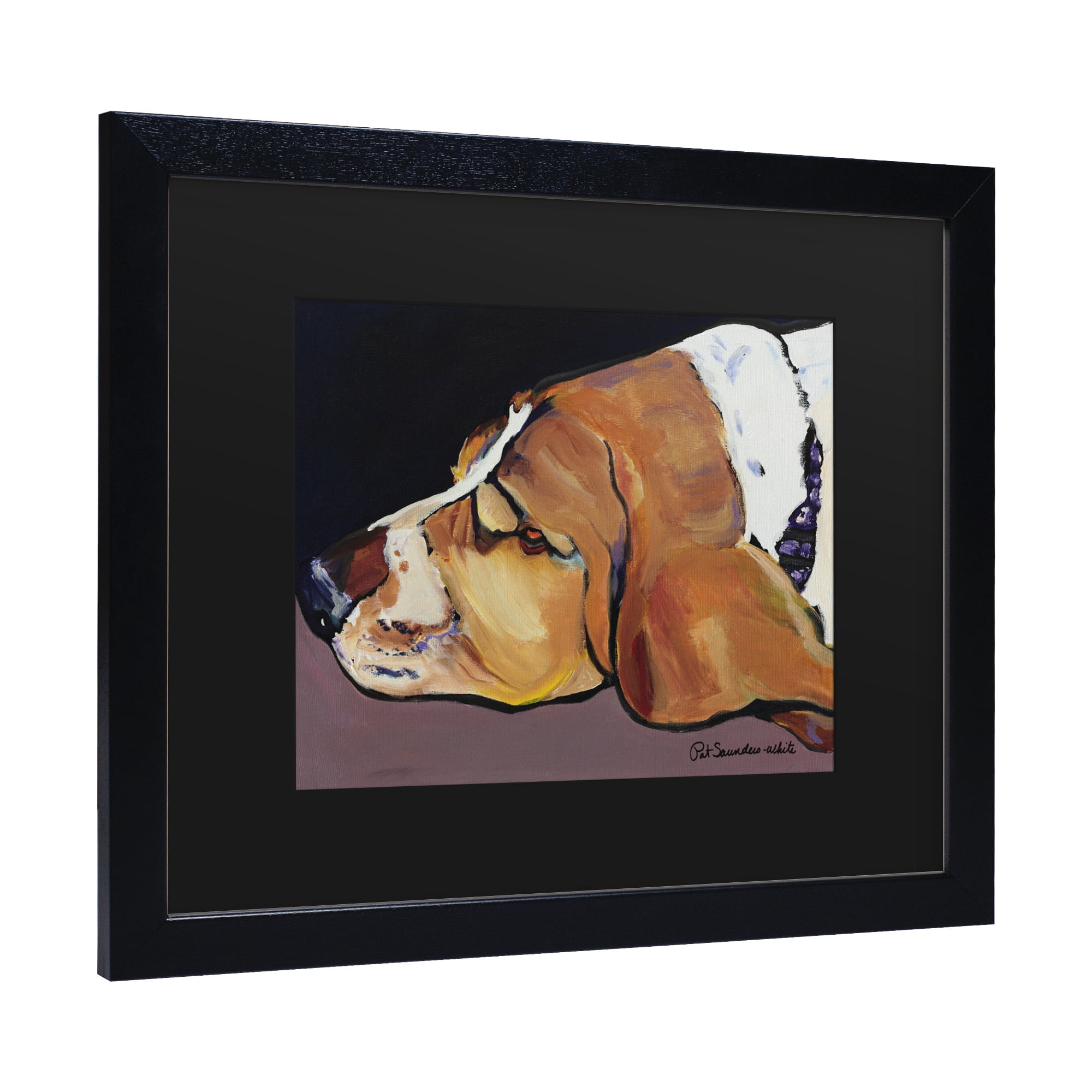 Trademark Fine Art 'Farley' Canvas Art by Pat Saunders-White