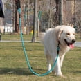 thumbnail image 5 of Dog Lead 5ft Rope Dog Lead, Slip Lead for Dogs Silp Lead Dog Leash, Reflective Thread with Padded Handle for Small Medium Large Dogs 5ft Green, 5 of 5