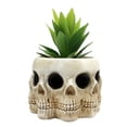 thumbnail image 4 of Skull Flower Pot, Versatile Skull Plant Holder  for Garden for Home, 4 of 8