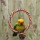 thumbnail image 1 of Bird Rope Swing Toy Colorful Cotton Perch for Parrots Budgie Parakeet Cockatiel Conure Finch Lovebird, 1 of 5
