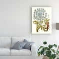 thumbnail image 3 of Trademark Fine Art 'Lacy Leaves III' Canvas Art by Unknown, 3 of 4