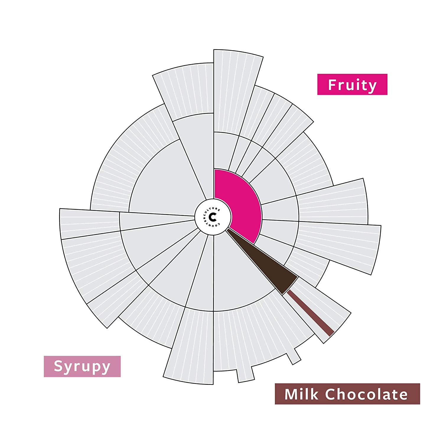 Counter Culture Coffee Hologram Blend Fruity Milk Chocolate Whole Bean Coffee