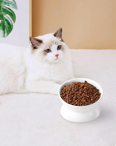 Elevated Cat Food Bowl, 5 Oz Ceramic Raised and Tilted Water Bowl, Anti Vomiting and Protect Pets' Spines Dishes for Small Dog, Fat Faced Cat, Kitten (White, 10 OZ)