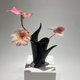 thumbnail image 4 of Jarrón de cerámica negro vibrante, arreglo floral hidropónico, adorno decorativo for el hogar, flores artificiales secas, 4 of 8