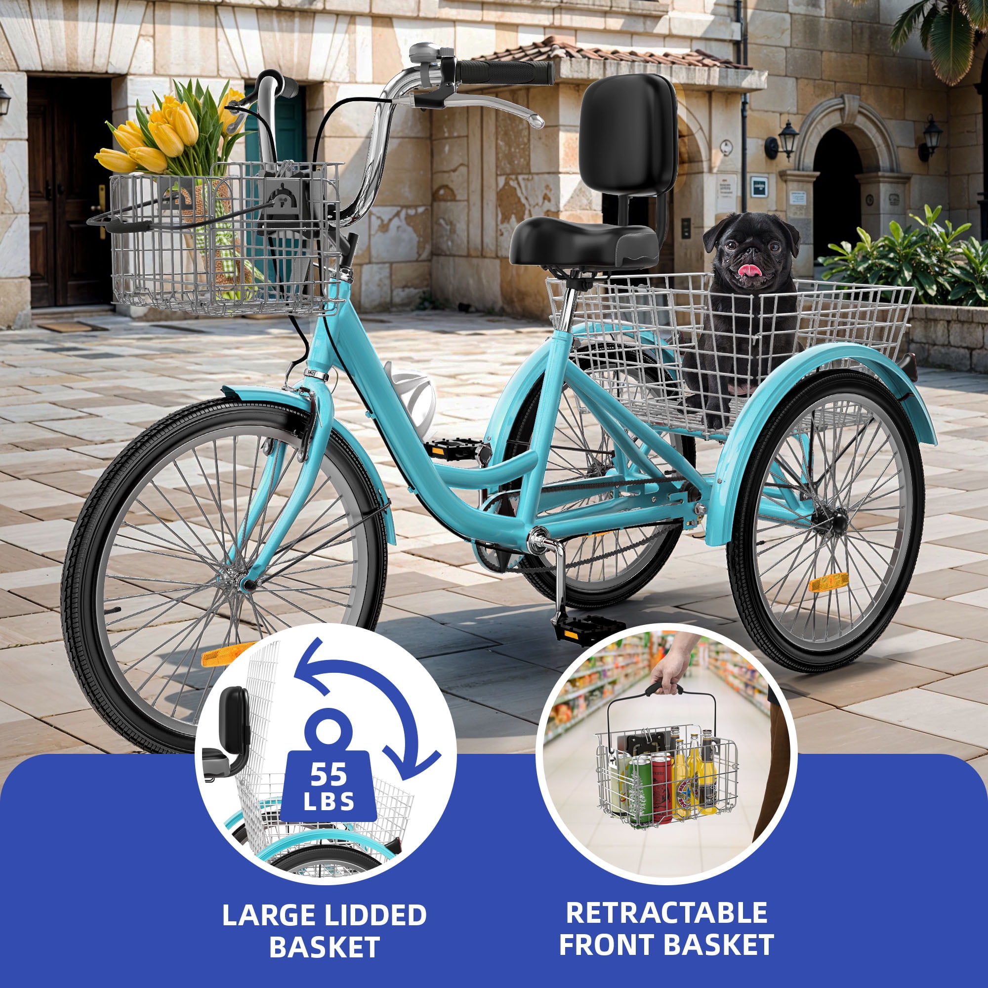 ModFusion 24" 1-Speed Adult Tricycle, Mint Green