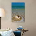 thumbnail image 4 of Great Big Canvas "Florida, Florida Keys, Conch shell on sandy beach, Key West"  by Chris Parker Brown Gray   Wrapped Canvas Print Wall Artwork, 4 of 7