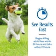 thumbnail image 4 of PETARMOR Flea & Tick Treatment for Medium Dogs, 23 to 44 lbs, 3 Monthly Applications, 4 of 5