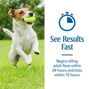 PETARMOR Flea & Tick Treatment for Medium Dogs, 23 to 44 lbs, 3 Monthly Applications