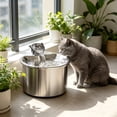 thumbnail image 5 of EGNMCR USB Stainless Steel Pet Water Dispenser Automatic Circulation Filter Pet Water Dispenser Intelligent Pet Water Feeder Flowing Water Suitable For Cats To Drink Stainless Steel Water Dispenser, 5 of 5